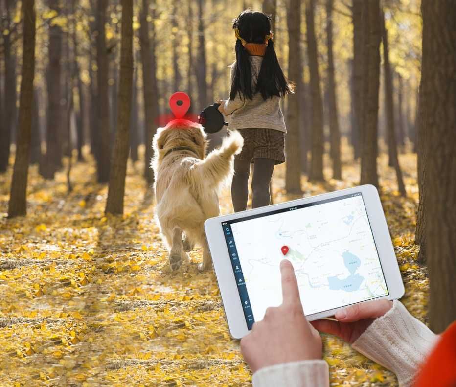 Obroża Lokalizator GPS Dla Zwierząt Psa Kota | WYPRZEDAŻ -20%