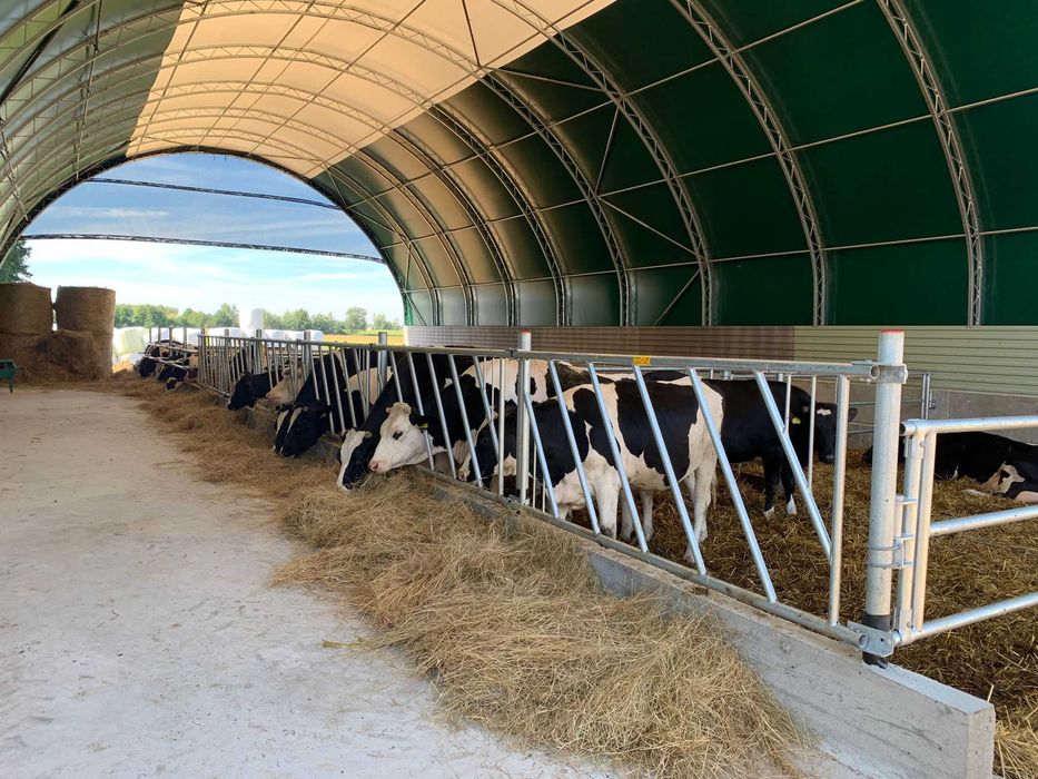 Hala Magazynowa, Hala Łukowa, Hala Namiotowa , Hala na Bale, Obora