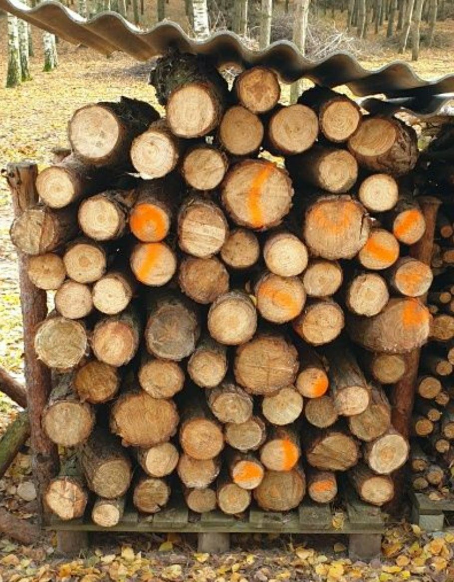 Suche drewno opałowe kominkowe brzoza sezonowana 2 lata, sosna