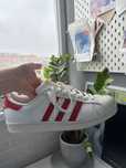 Adidas Superstar ОРИГІНАЛ