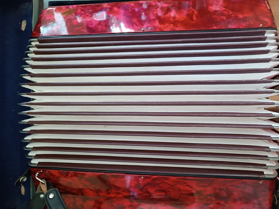 Аккордеон Weltmeister stella 4/4 с сурдиной