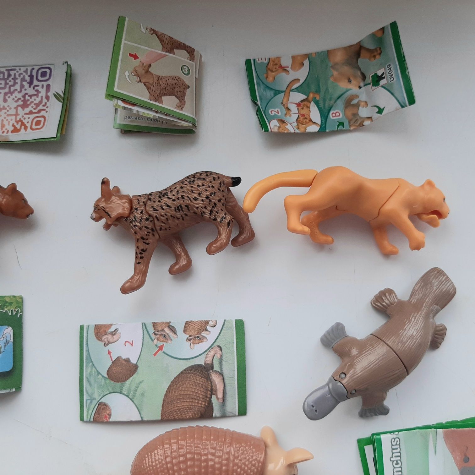 Кіндер kinder  тварини natuns панда черепашки рись ведмідь