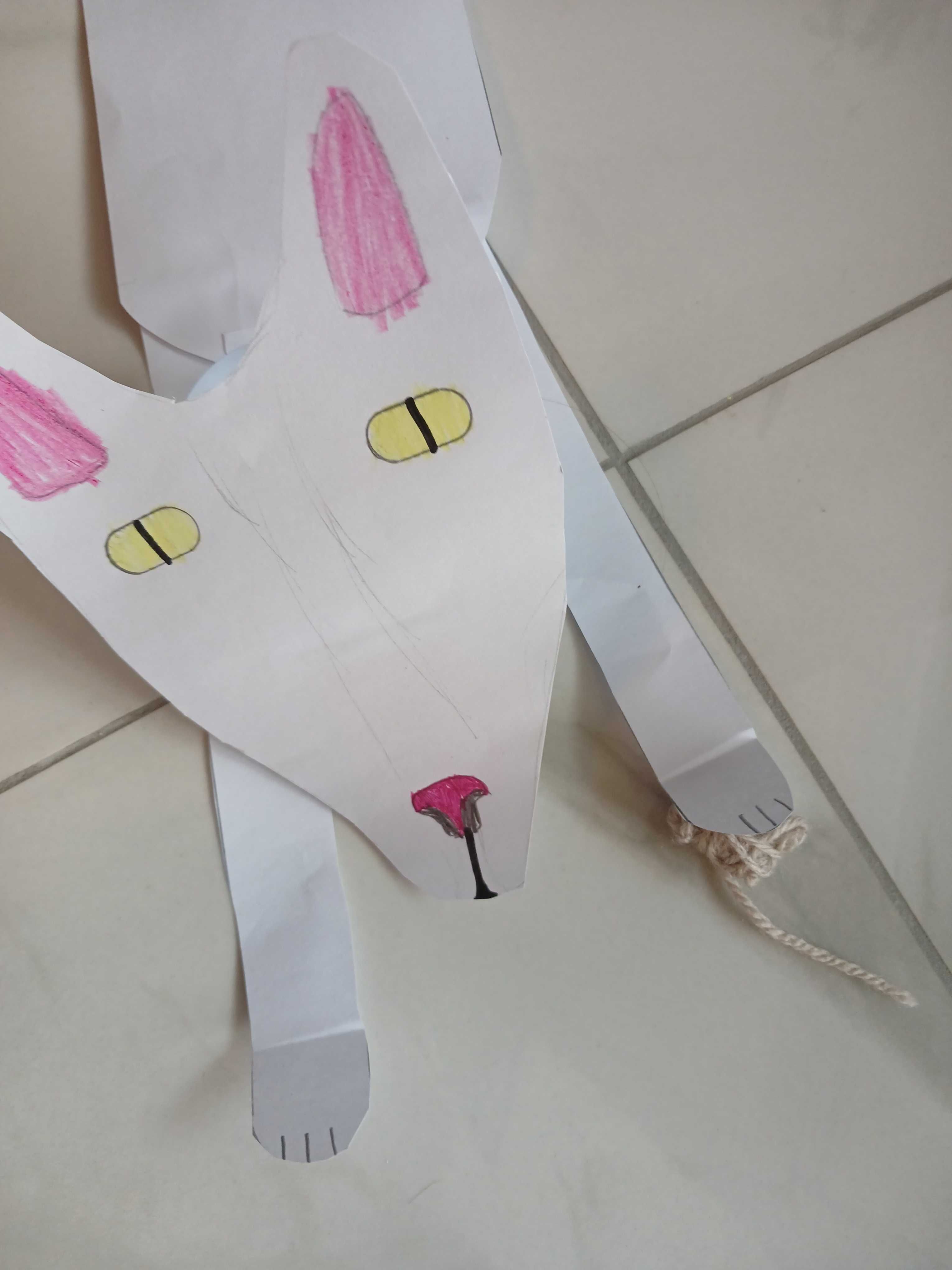Котики на замовлення