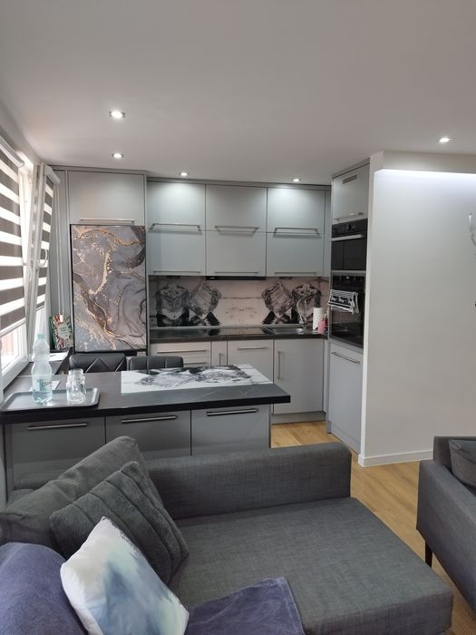 Wynajmę mieszkanie 42 m2 z garażem i ogrodem !