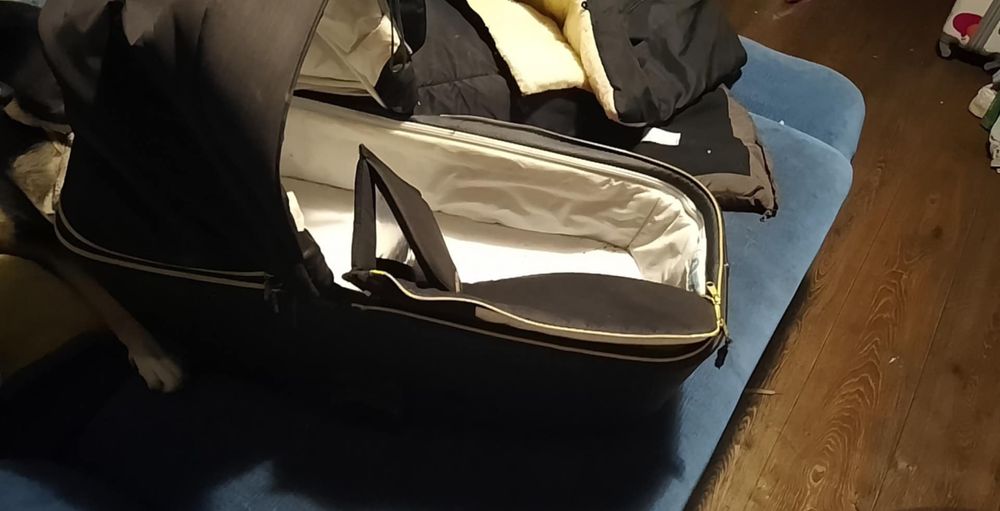 Wózek Adamex Reggio 2w1