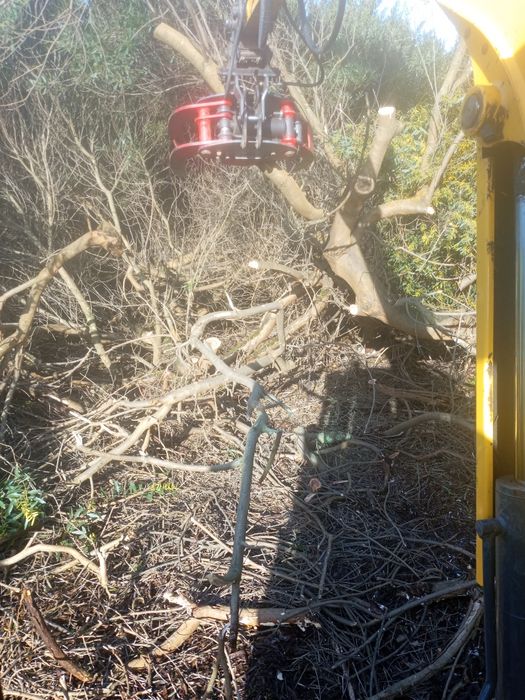 Limpezas agrícolas e florestais