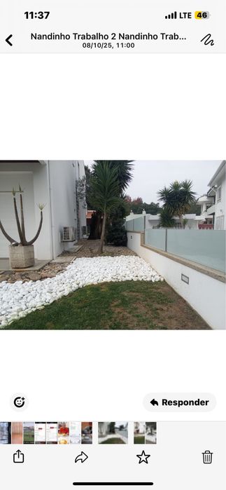 Executamos trabalhos de limpeza de terrenos e jardinagem