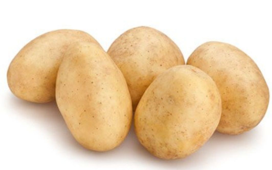 Ziemniaki Jadalne (Vineta Gala)