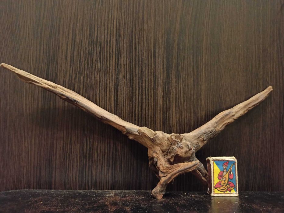 Коряга декор для акваріума # 139. Кораловий корінь. Ціна 380 грн.