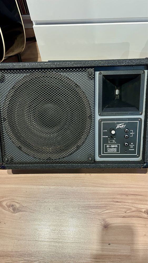 Peavey zawodowe odsluchy sceniczne