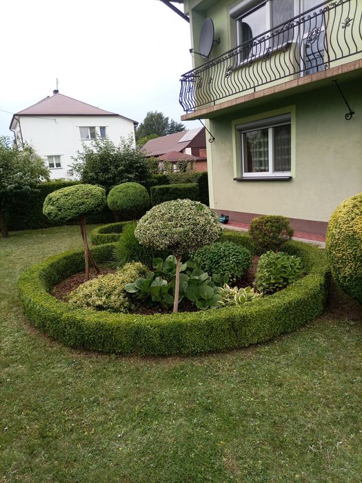 Pielęgnacja ogrodów