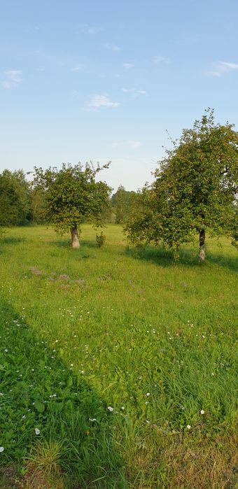 Будинок, літня кухня, 1 га землі з виходом до річки, с. Іванків