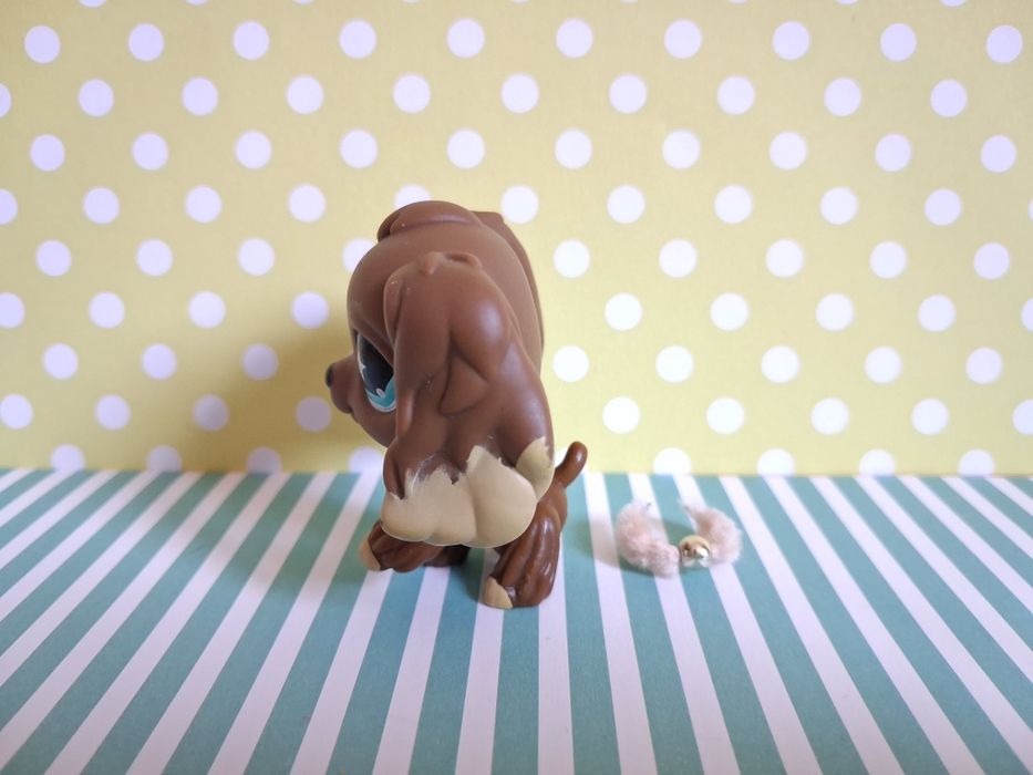 Littlest Pet Shop LPS unikatowy pies Cocker Spaniel #960 pop