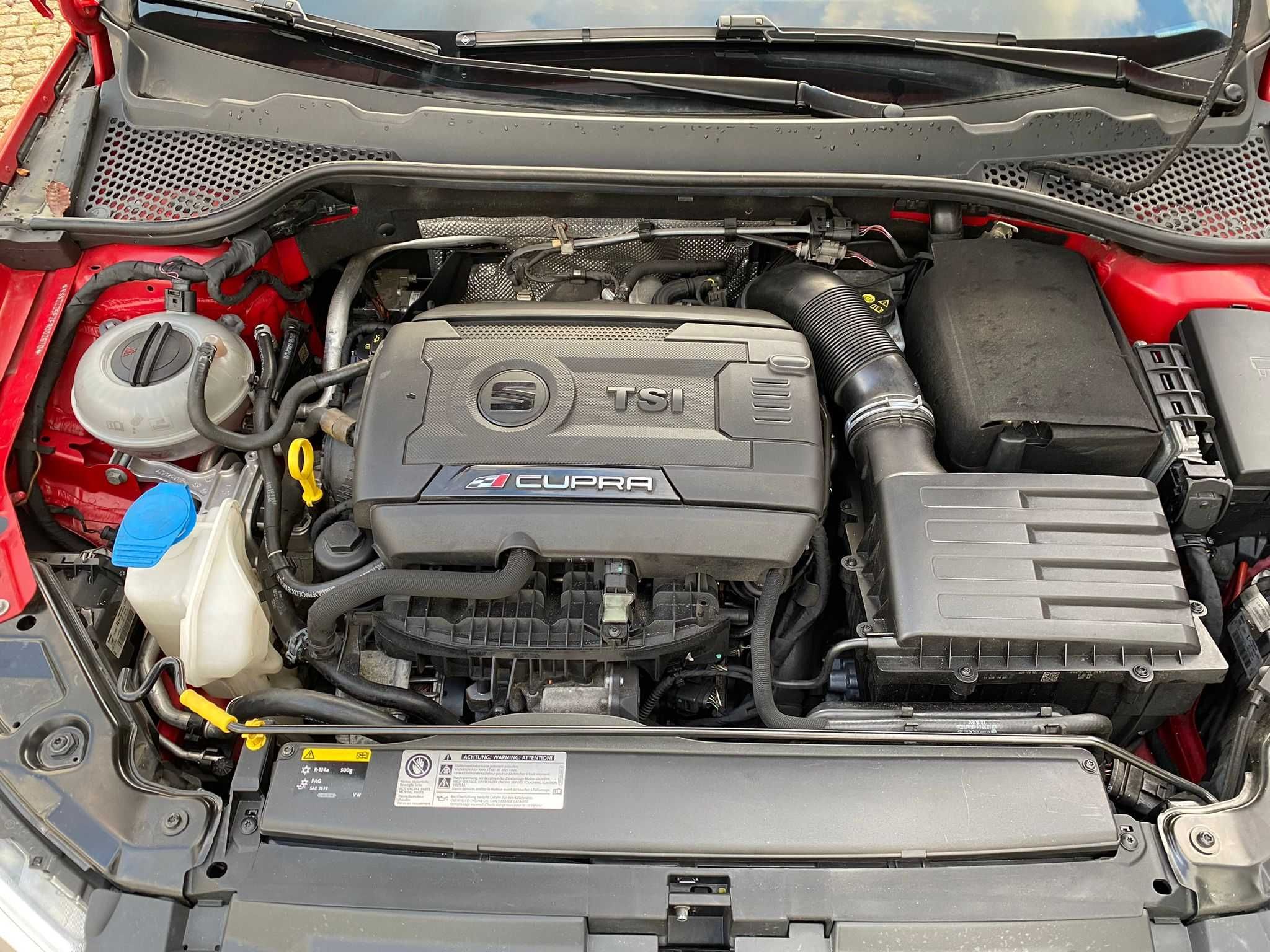 Seat Leon Cupra 5F