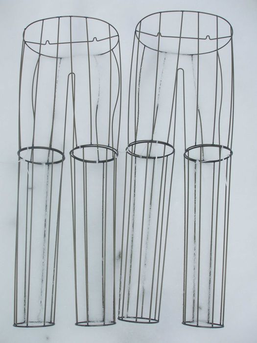 Nici w różnych kolorach