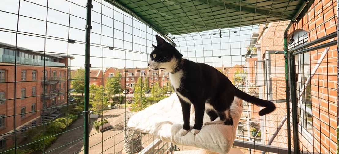 klatka dla kota na balkon
