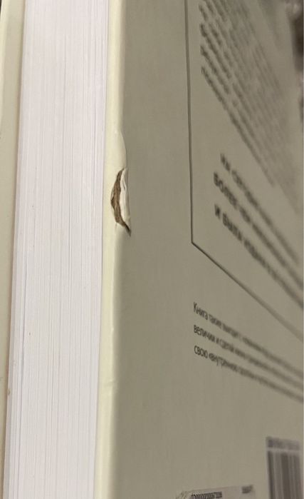 Книга Ни Сы Джен Синсеро