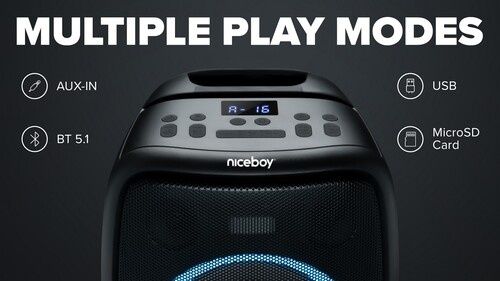 NICEBOY PARTYBOY 2 100W Портавивна колонка