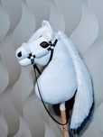 Hobby horse konik