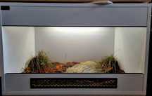 Terrarium 80x50x50 dla żółwia greckiego stepowego