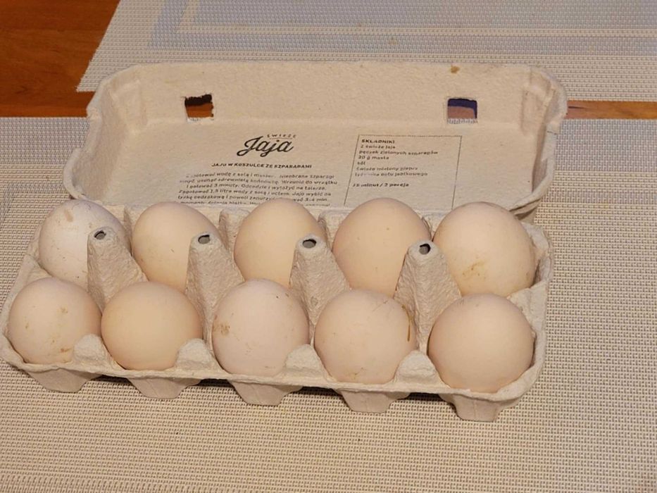 Jaja wiejskie od kur z wolnego wybiegu