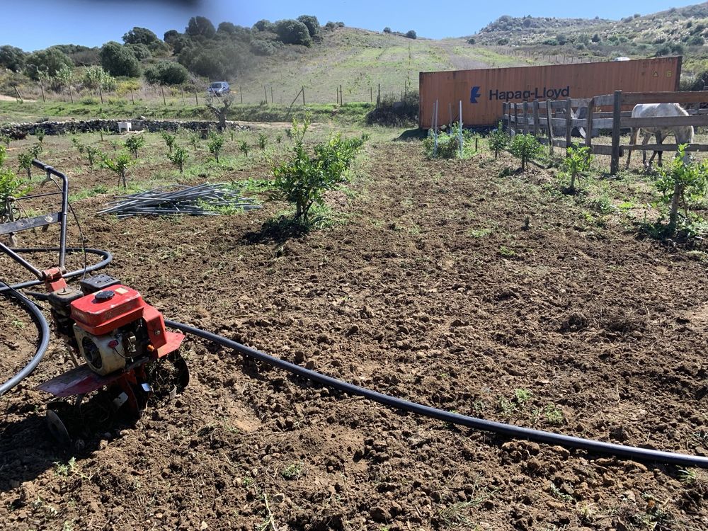 Vende QUINTA “Terra da Costa” 18980 mts