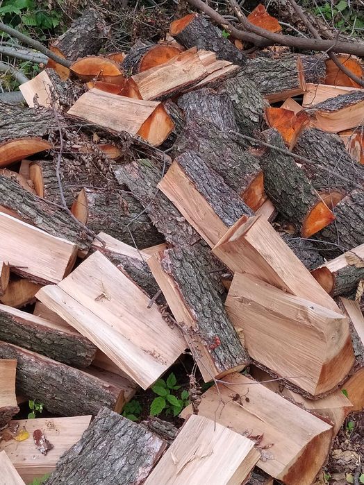 Drzewo kominkowe / opałowe suche - sezonowane
