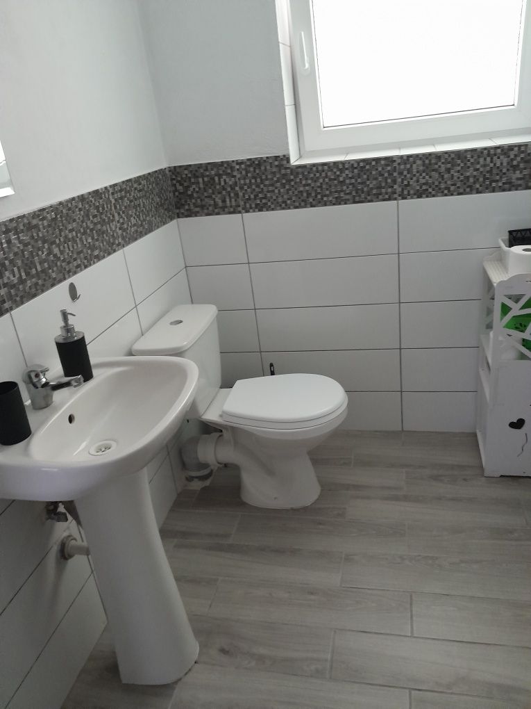 Domek Noclegi Bory Tucholskie Grzyby Lutom