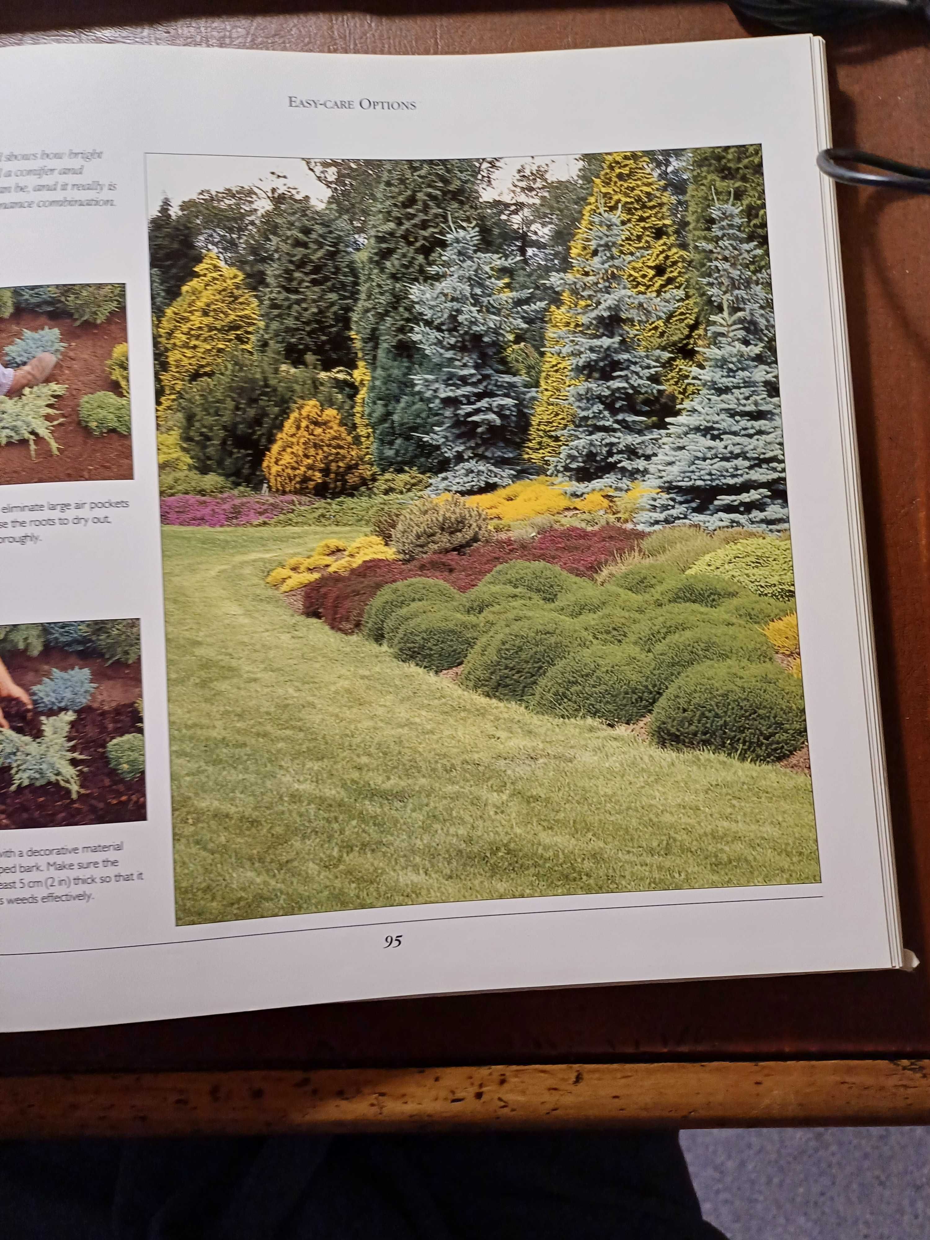 Practical small gardening