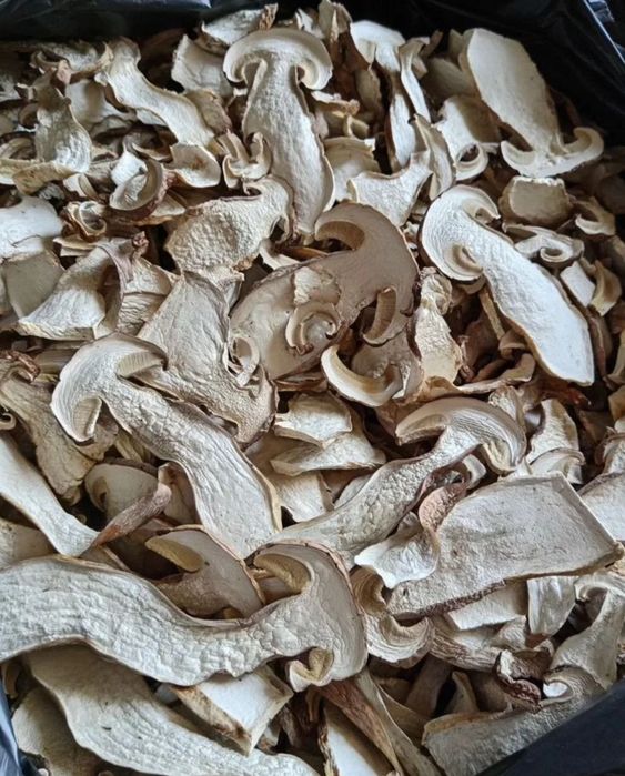 Білі різані гриби