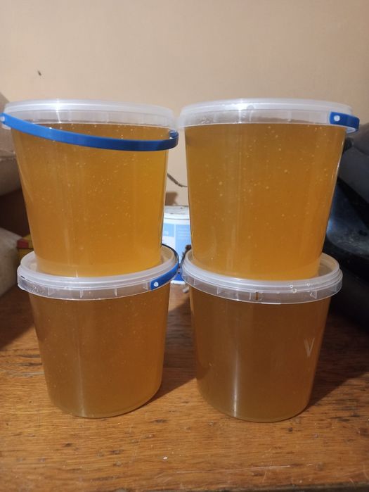 Продам травневий мед 2025