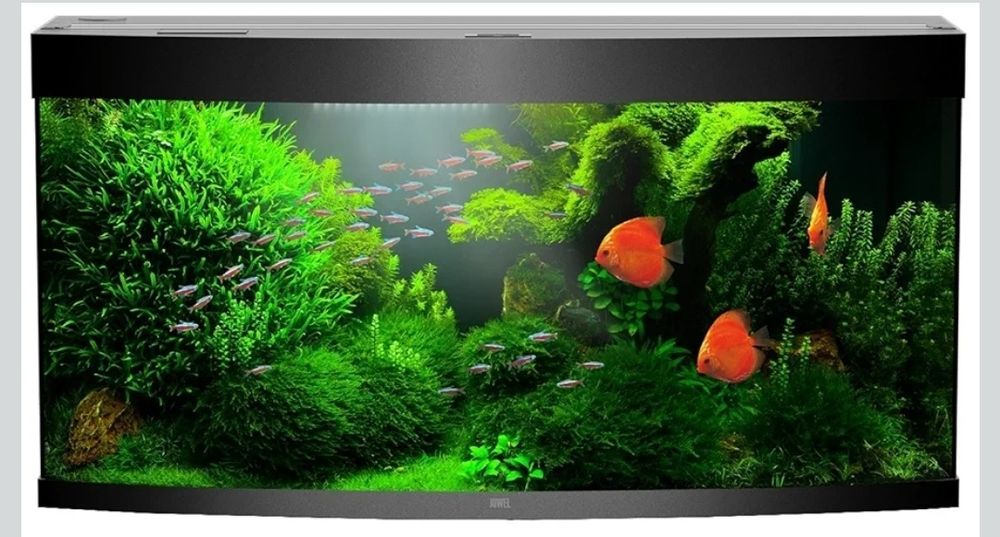 Lampa do akwarium Juwel Aquarium 49280 NovoLux LED 80 biały świetlówka