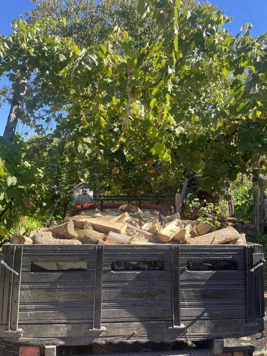 Lenha seca carvalho e eucalipto