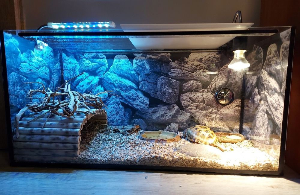 Akwarium dla żółwia