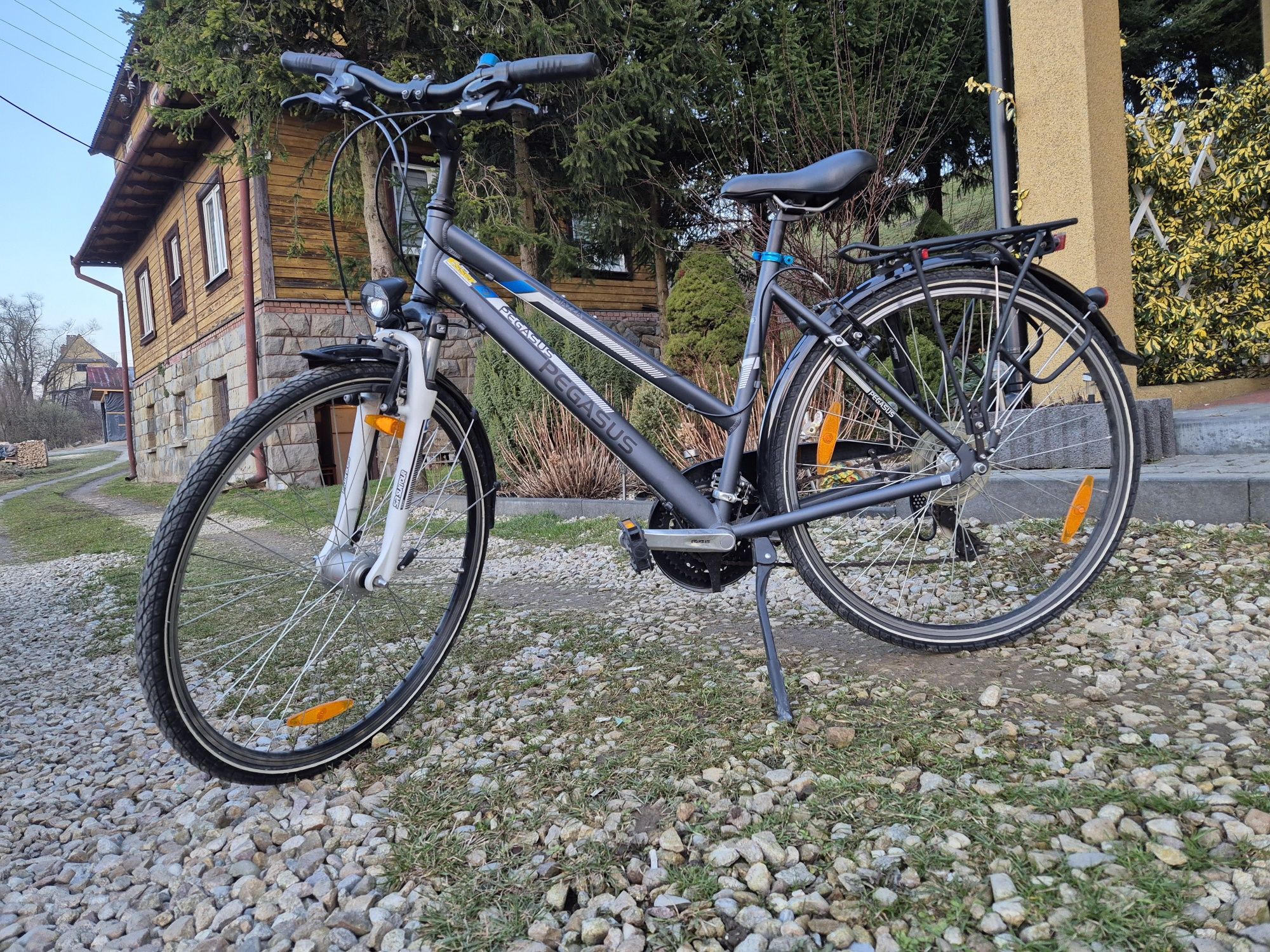 Rower miejski Pegasus Piazza