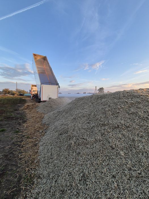 Wysłodki Wyslodka buraczana mokra z transportem
