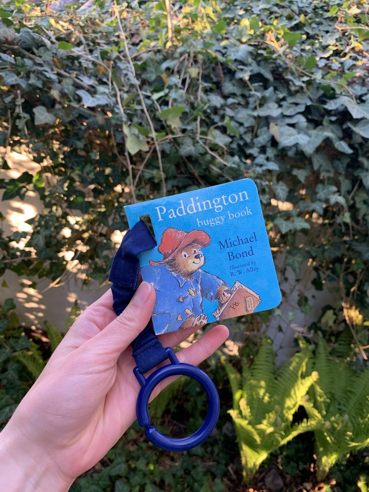 Paddington buggy book