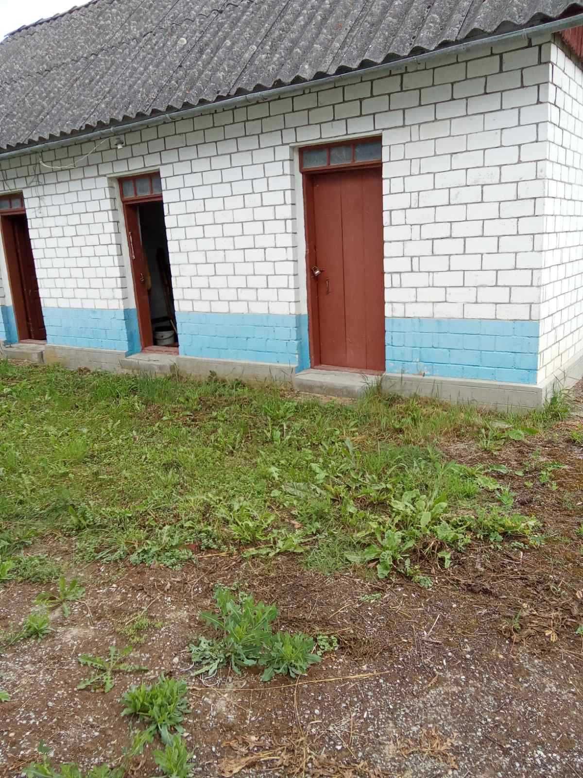Продається будинок в   с. Трибухівці