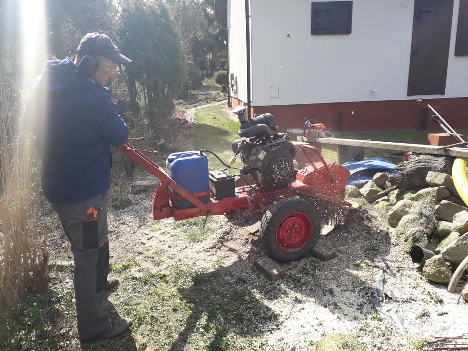 Wycinka drzew i zakrzaczeń