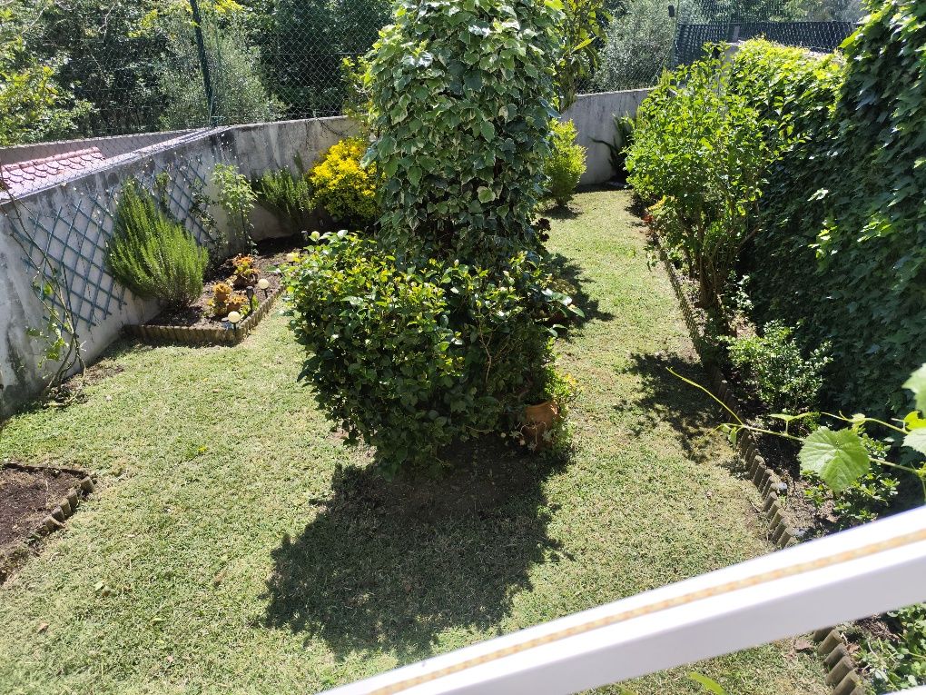 Limpeza de Terrenos e manutenção de jardins