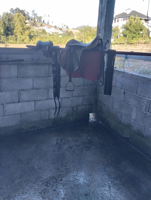 Arreio de ensino para cavalos