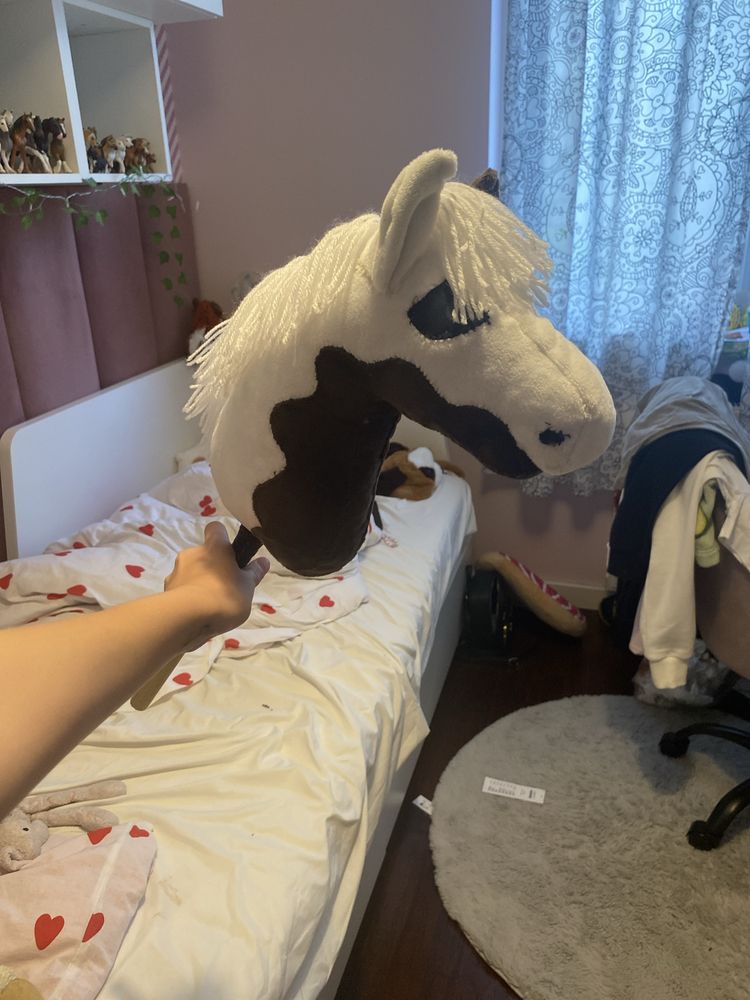 Konik hobby horse