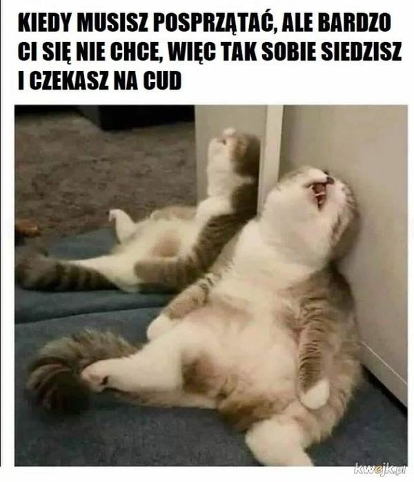 SPRZĄTANIE po remoncie