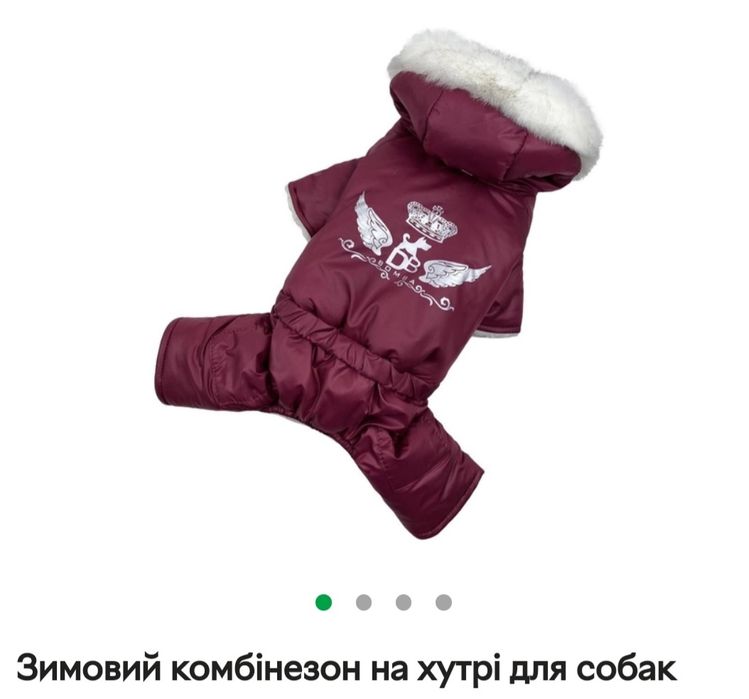 Зимовий комбінезон