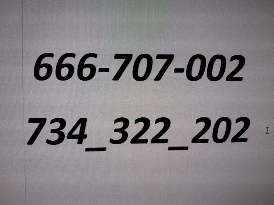 złoty , prosty numer   666_707_002