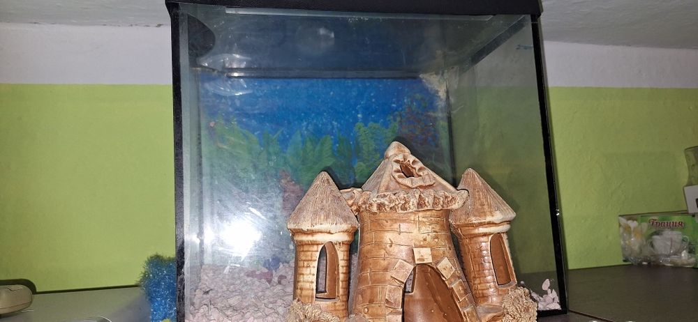 Акваріум на 30літрів з усім що потрібно для акваріума.
