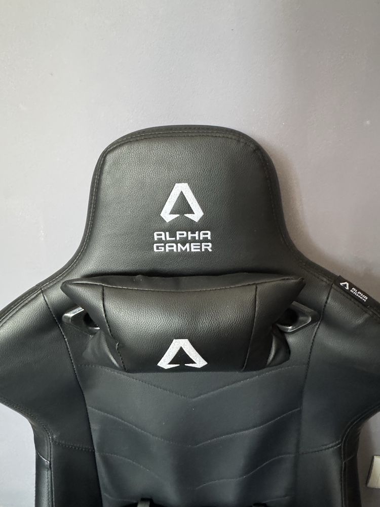 Alpha Gamer Zeta
