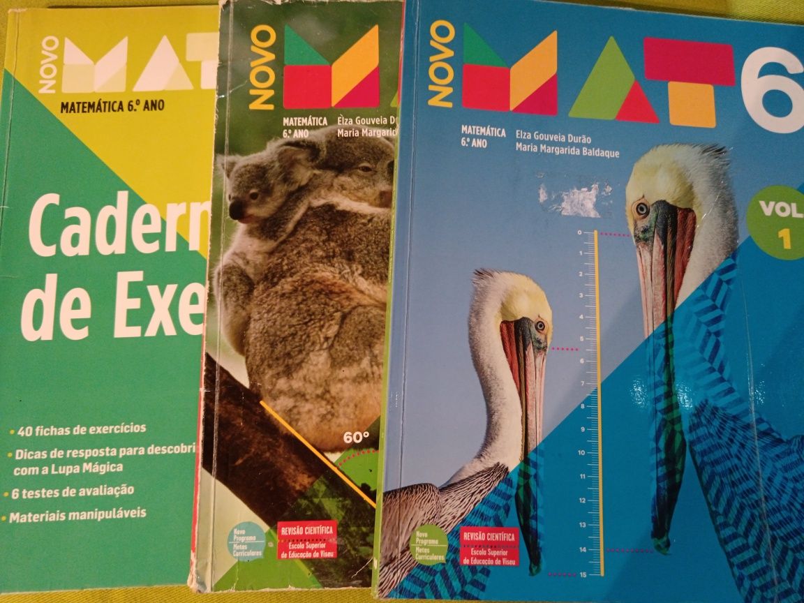 Novo Mat 6 Manual e caderno de atividades