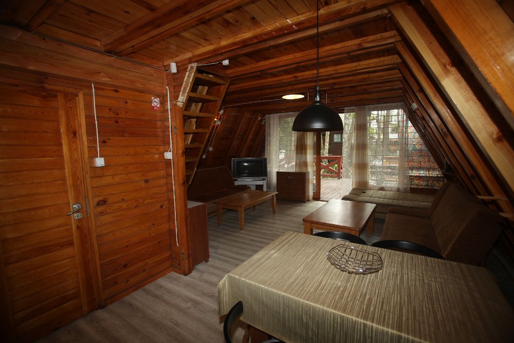 skorzecin domek tramp  domki do wynajecia