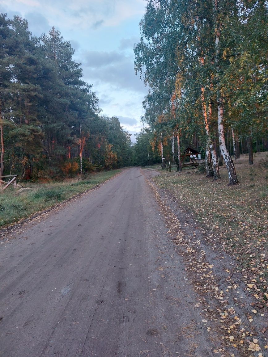 Sprzedam działki - Lubochnia gmina Gniezno, blisko lasu